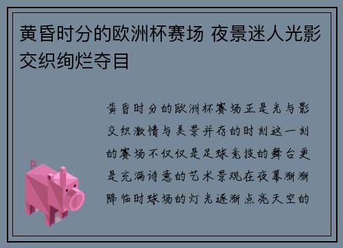 黄昏时分的欧洲杯赛场 夜景迷人光影交织绚烂夺目