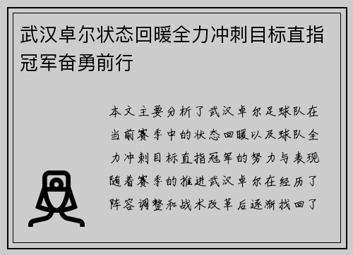 武汉卓尔状态回暖全力冲刺目标直指冠军奋勇前行