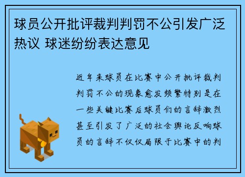 球员公开批评裁判判罚不公引发广泛热议 球迷纷纷表达意见